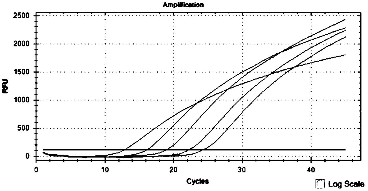 Primer probe group and kit for combined detection of Batai virus and Taina virus based on dual fluorescence PCR method