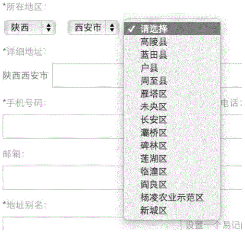 Address input control method and device