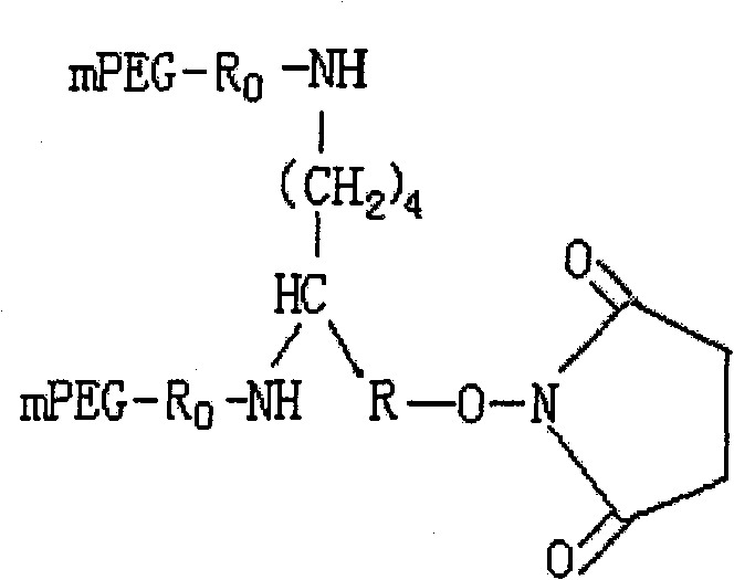 Conjugate of branched chair polymacrogol-interferon, and its preparing method