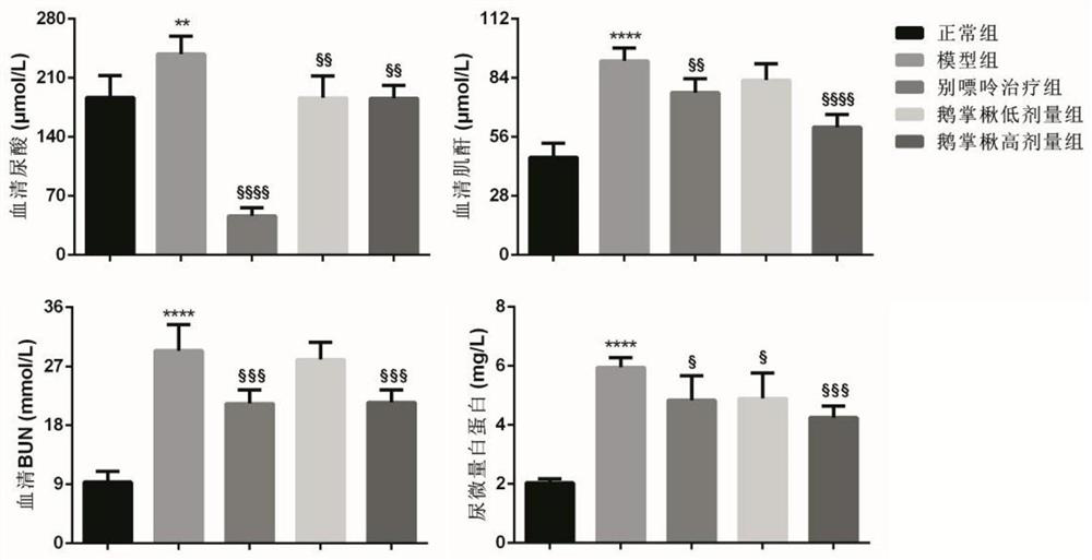 Use of Liriodendron tulipifera or its extract in preparing medicine for reducing serum uric acid level and preventing and treating uric acid nephropathy