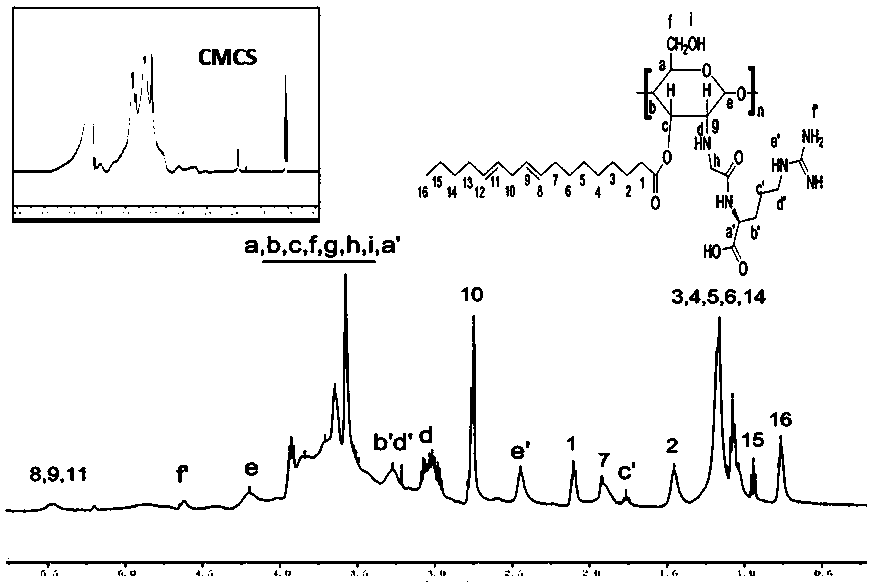 Amphiphilic nano drug-loaded microemulsion as well as preparation method and application thereof