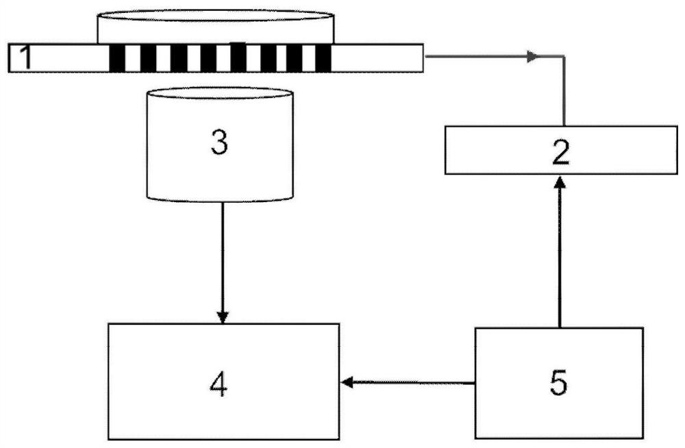 A method for synchronously monitoring chemical signals and electrical signals of nerve cell network