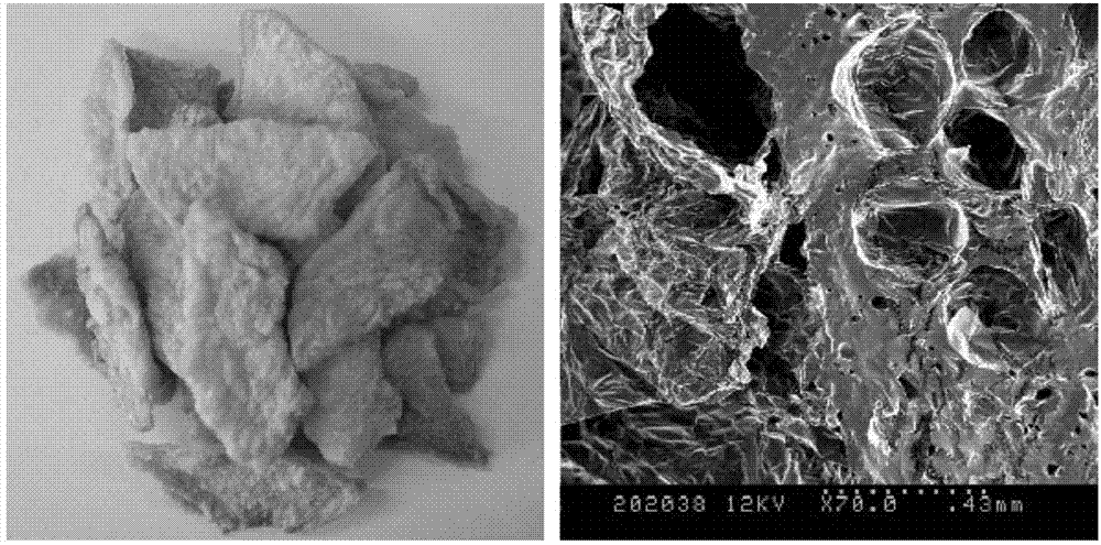 Sulfur-free crisp pear slices and preparation method thereof