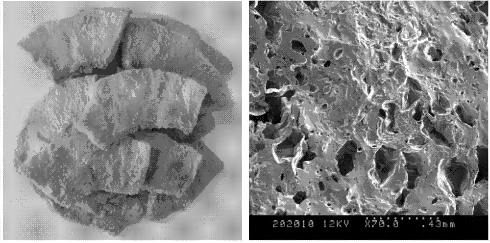 Sulfur-free crisp pear slices and preparation method thereof