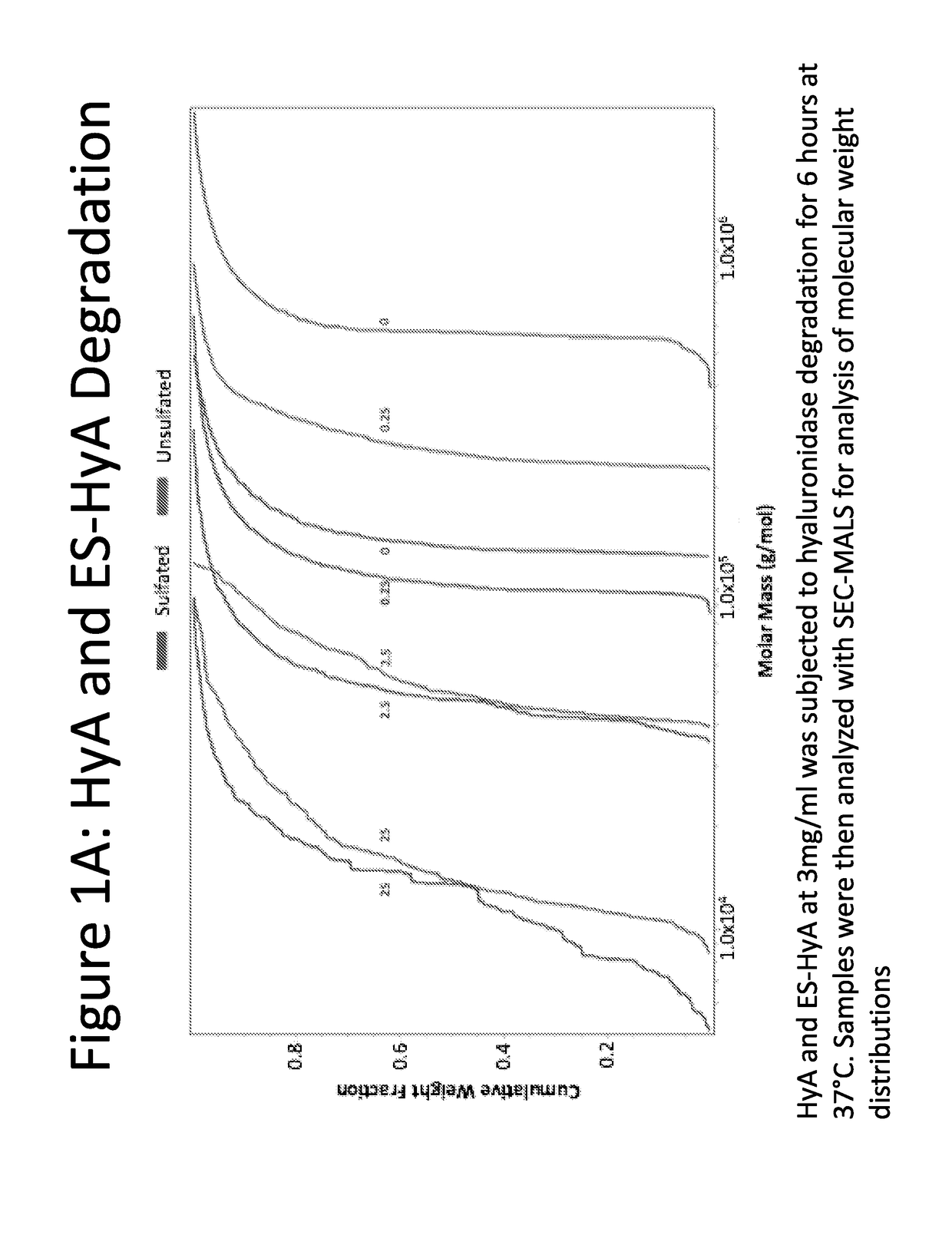 Ethylsulfonated hyaluronic acid biopolymers and methods of use thereof