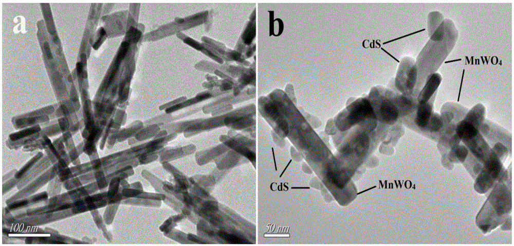 Method for preparing CdS/MnWO4 heterojunction compound photo-catalyst