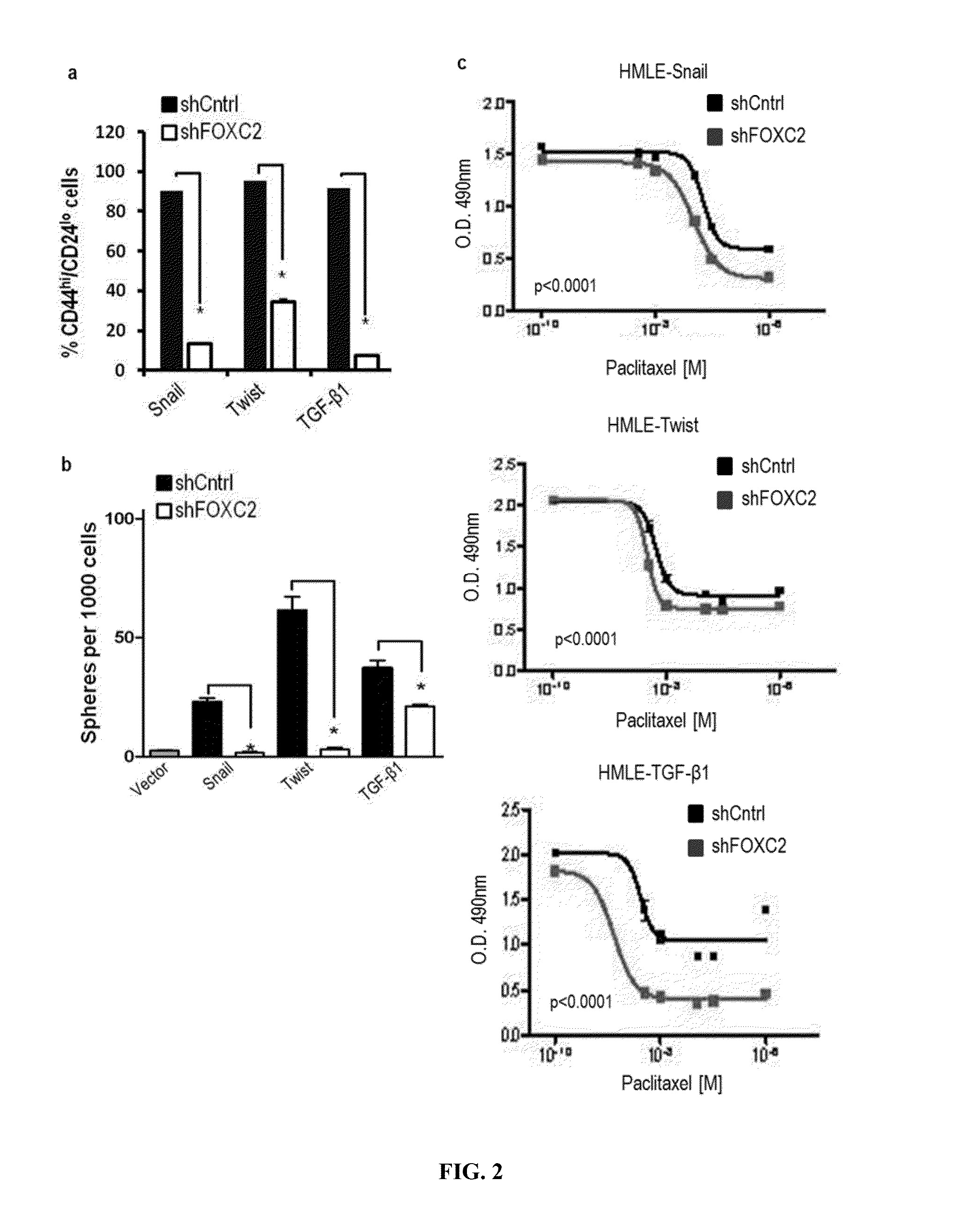 Identification of cancer stem cell markers and use of inhibitors thereof to treat cancer