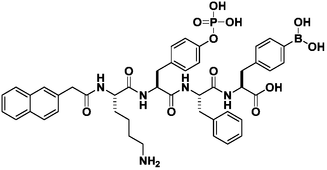 Boron-containing drug with tumor targeting ability and preparation method and application thereof