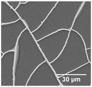 A low-radiation transparent electric heating film and its preparation method