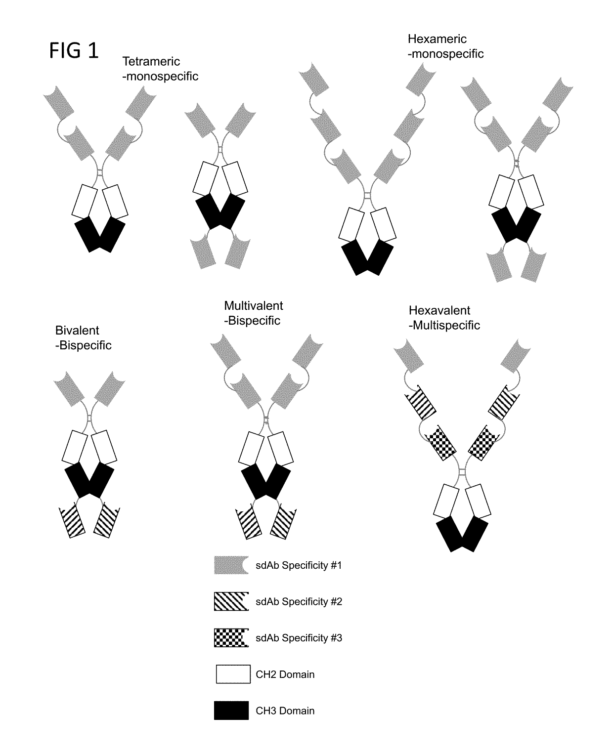 Multivalent and Multispecific OX40-Binding Fusion Proteins