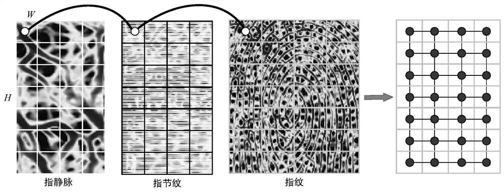 Finger three-mode fusion recognition method and device based on crystal diagram structure