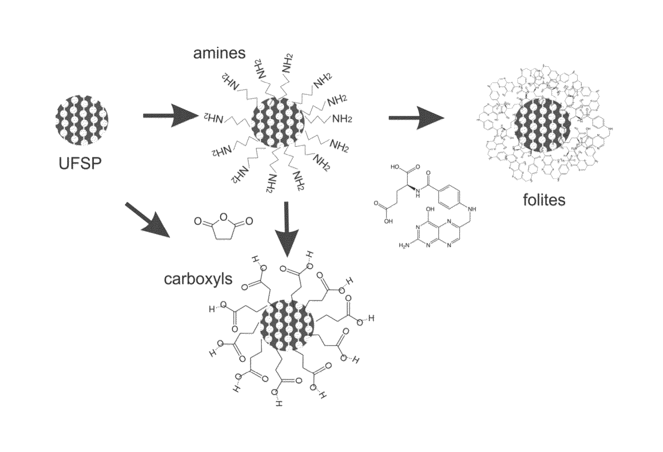 Functionalized ultrabright fluorescent silica particles