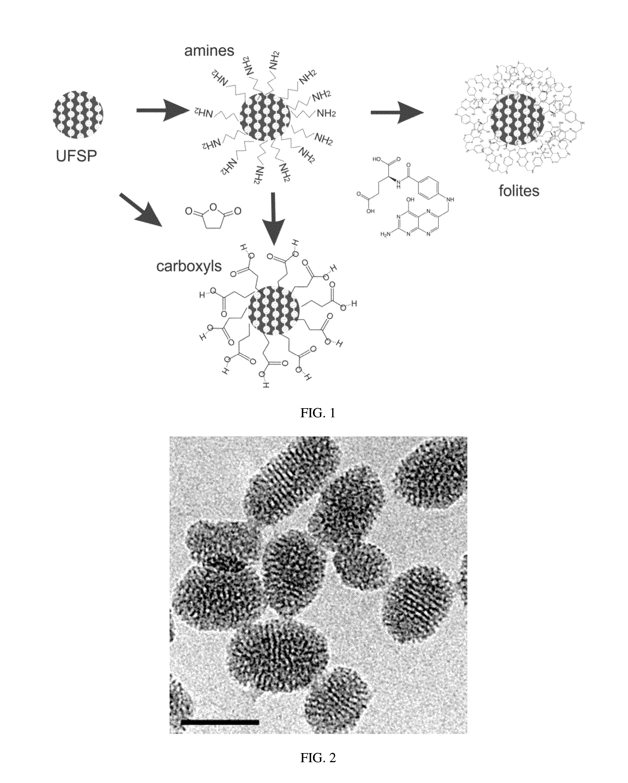 Functionalized ultrabright fluorescent silica particles