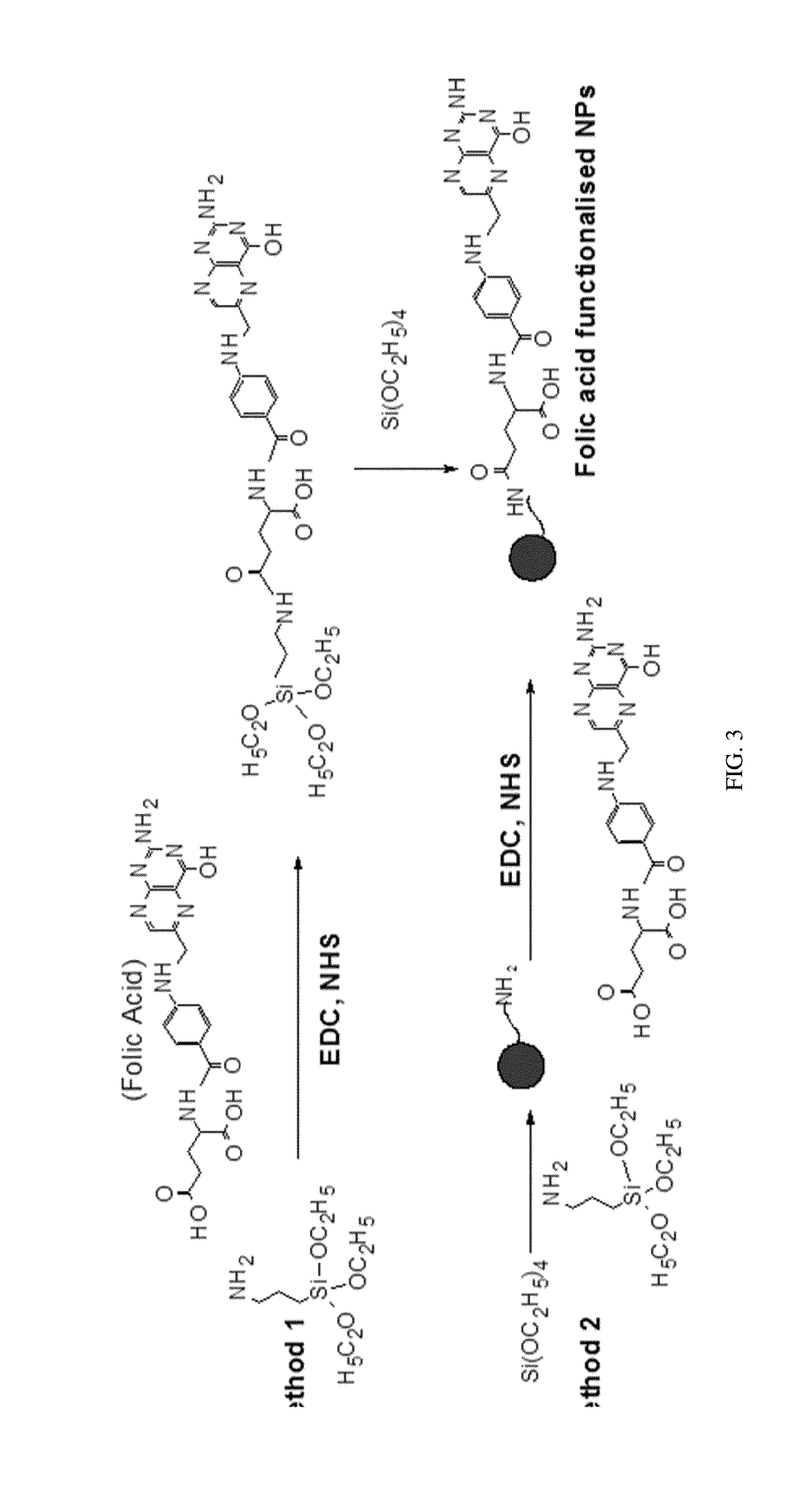 Functionalized ultrabright fluorescent silica particles