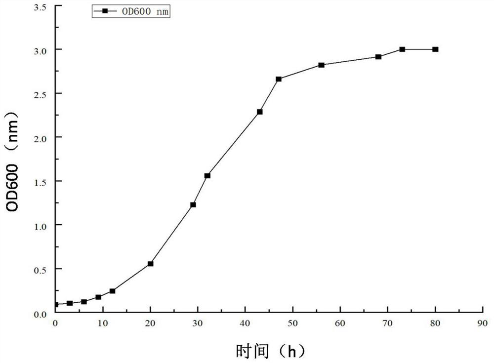 Salt-tolerant saccharomycetes for increasing content of ethyl ester compounds in soy sauce and application of salt-tolerant saccharomycetes