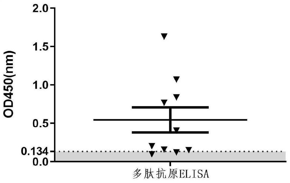 New coronavirus SARS-CoV-2 broad-spectrum polypeptide antigen, specific neutralizing antibody thereof and application