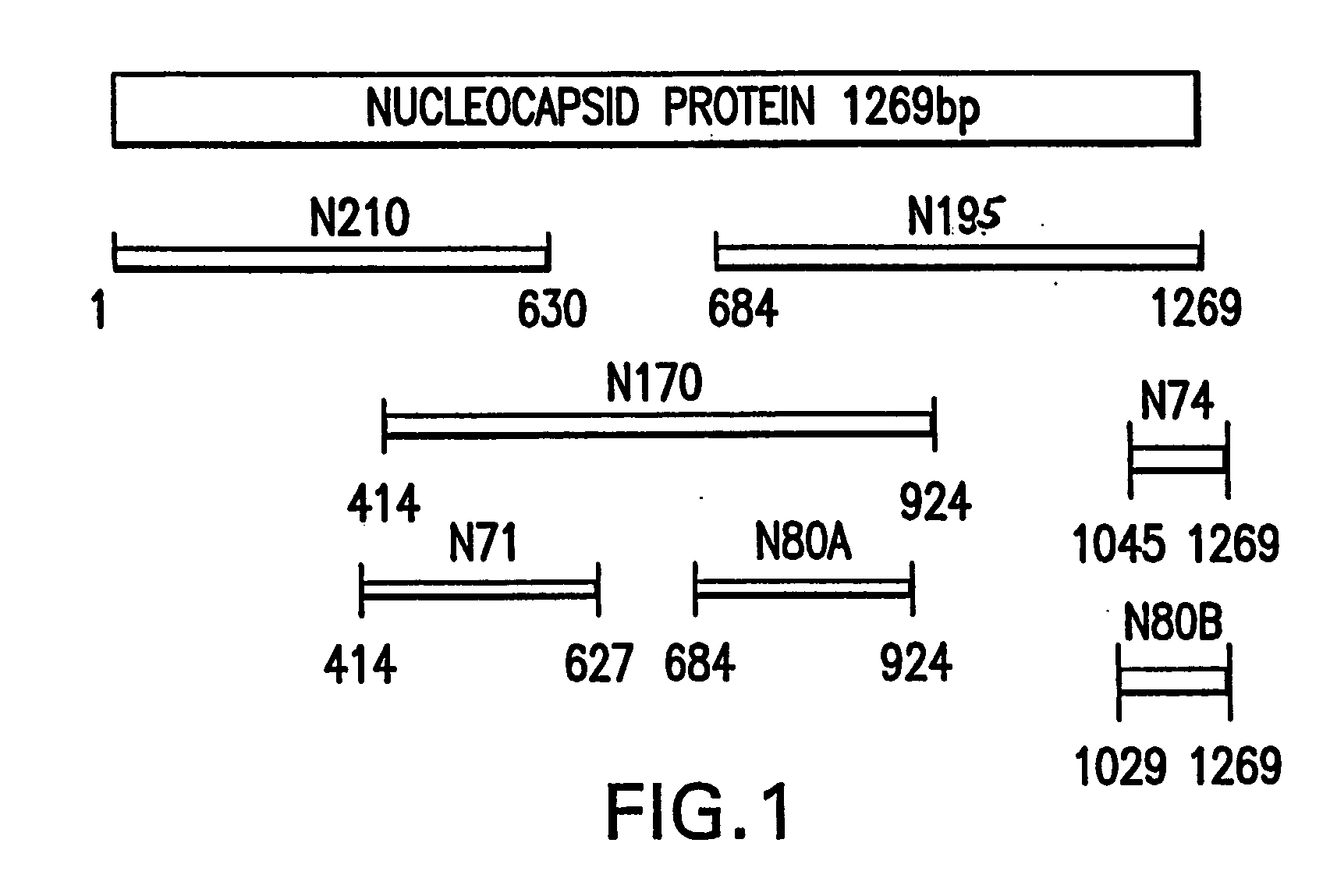 Diagnostics for sars virus