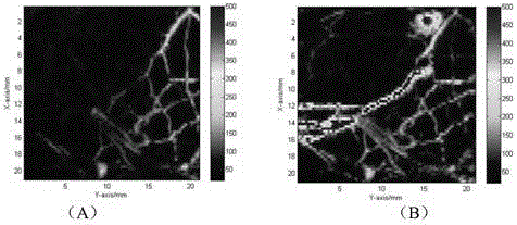 Nickel doped copper sulfide nano material as well as preparation method and application thereof