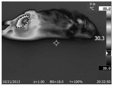 Nickel doped copper sulfide nano material as well as preparation method and application thereof