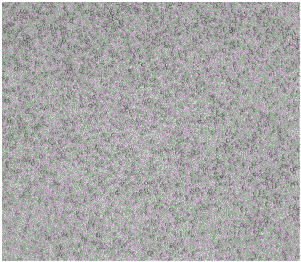 Tea tree oil antibacterial microcapsule and preparation method and application thereof