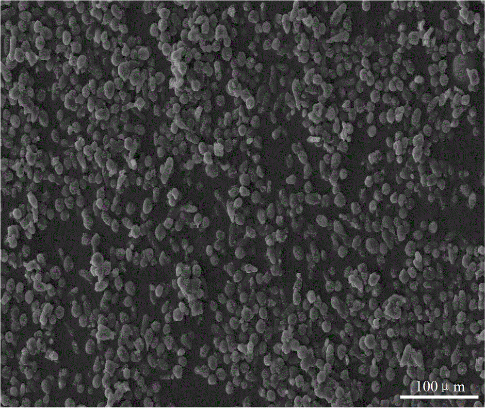 Tea tree oil antibacterial microcapsule and preparation method and application thereof