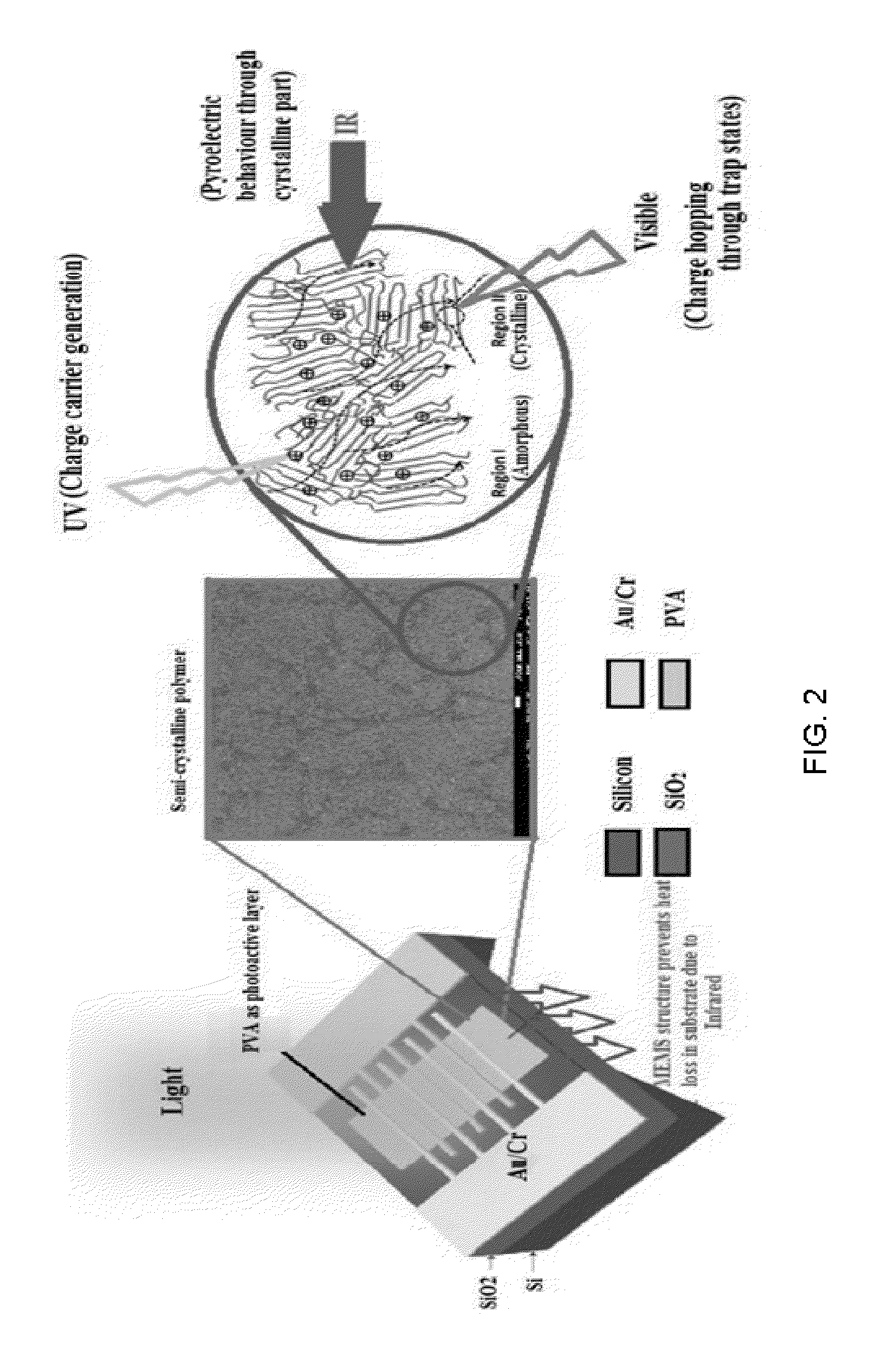 Micro electro mechanical system (MEMS) based wide-band polymer photo-detector