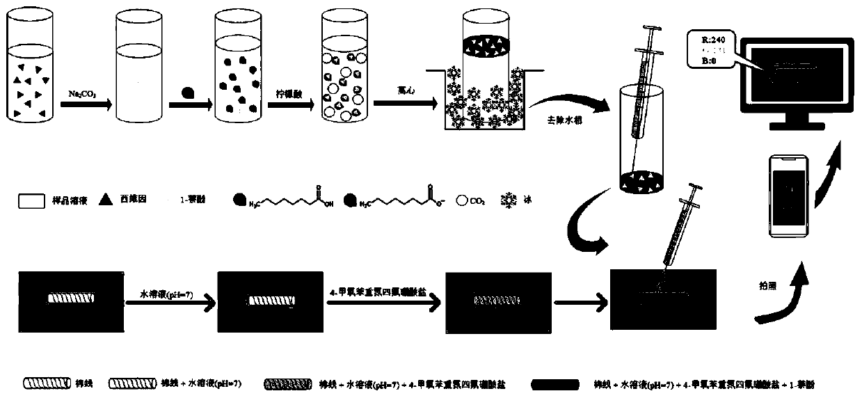 Method for detecting content of carbaryl in food by combining liquid phase micro-extraction with thread microfluid colorimetry