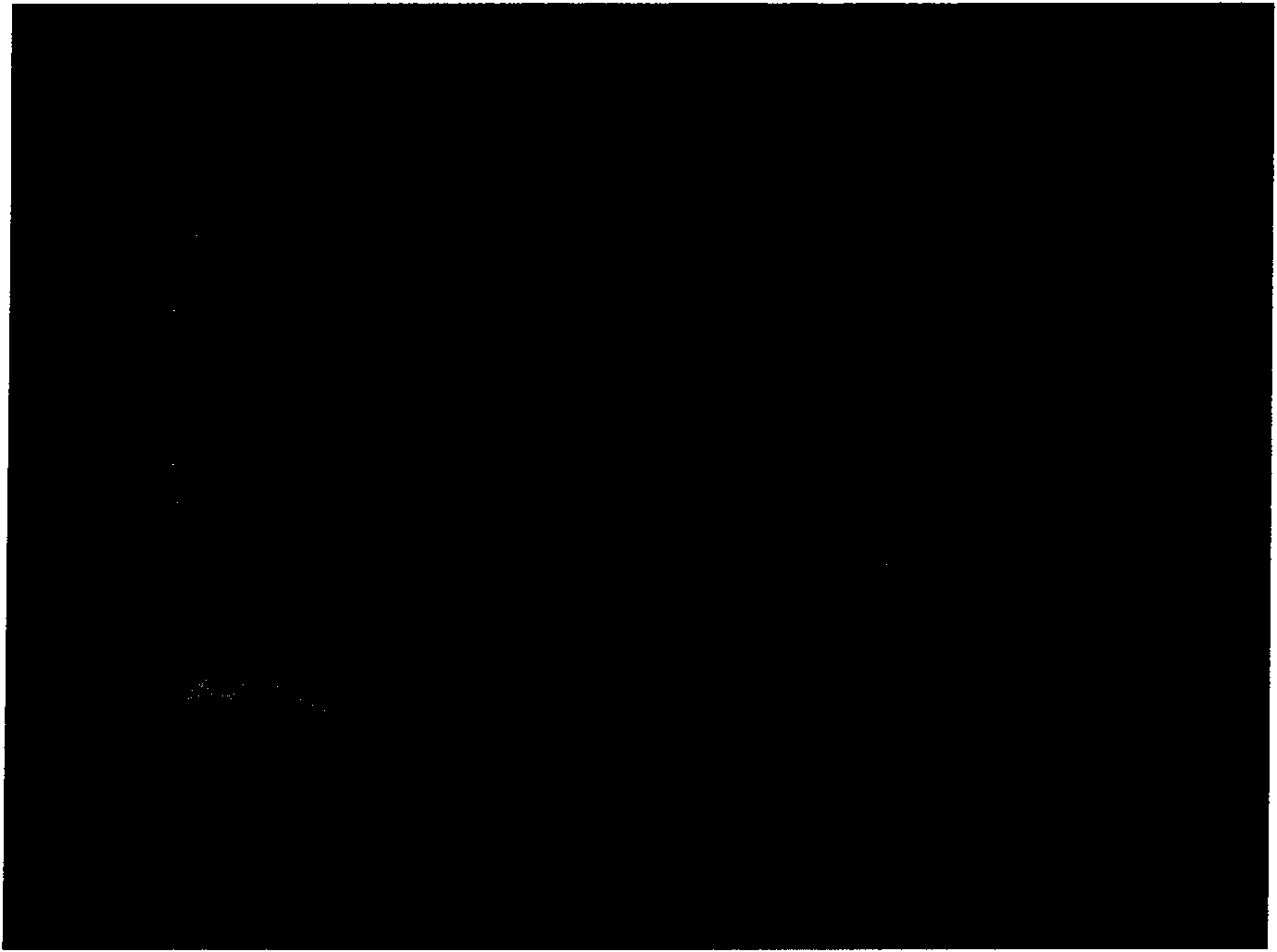 Flexible thermoplastic film and product thereof