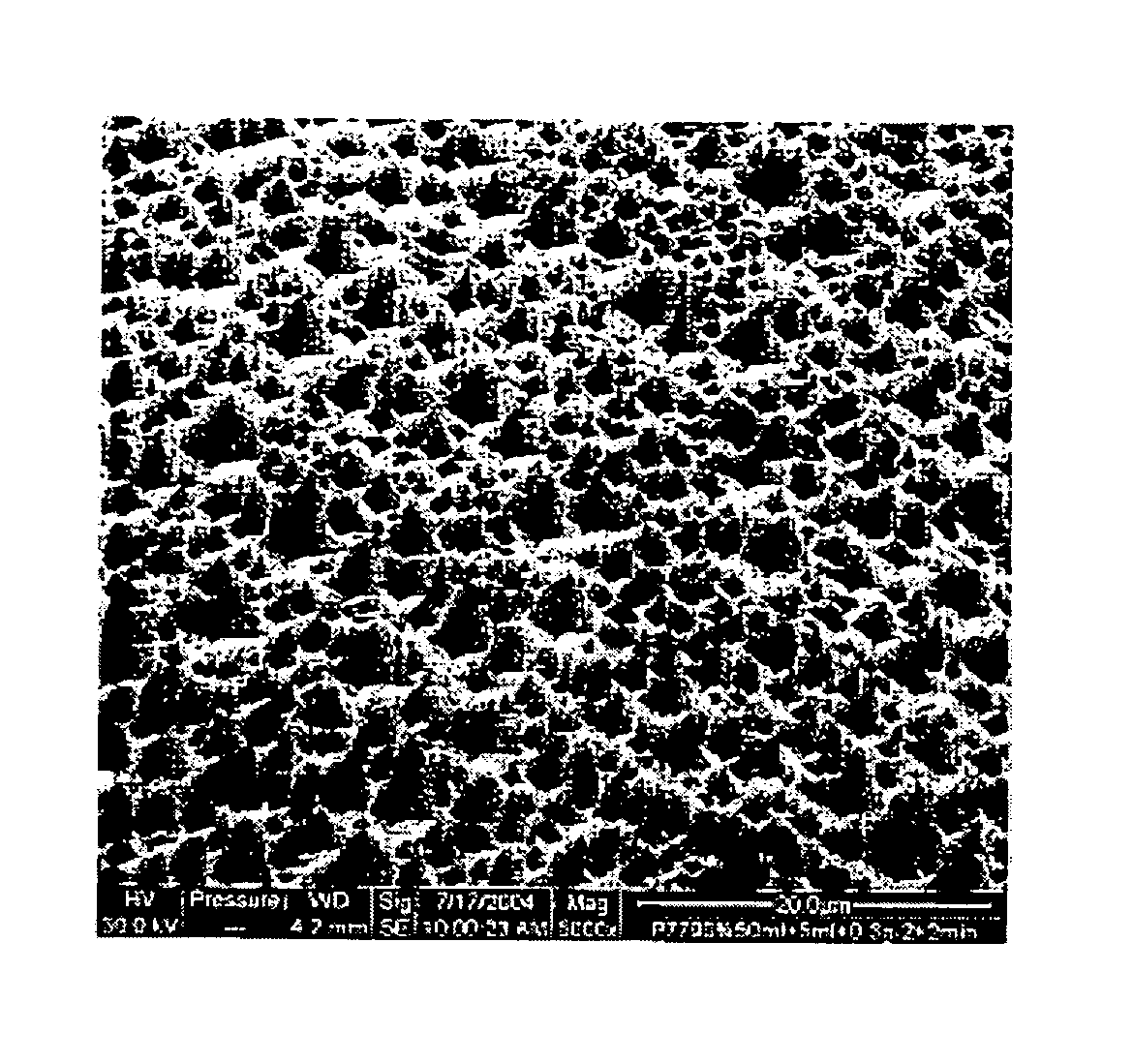 Implants with textured surface and methods for producing the same