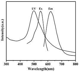 Preparation method and application of pH fluorescence sensor