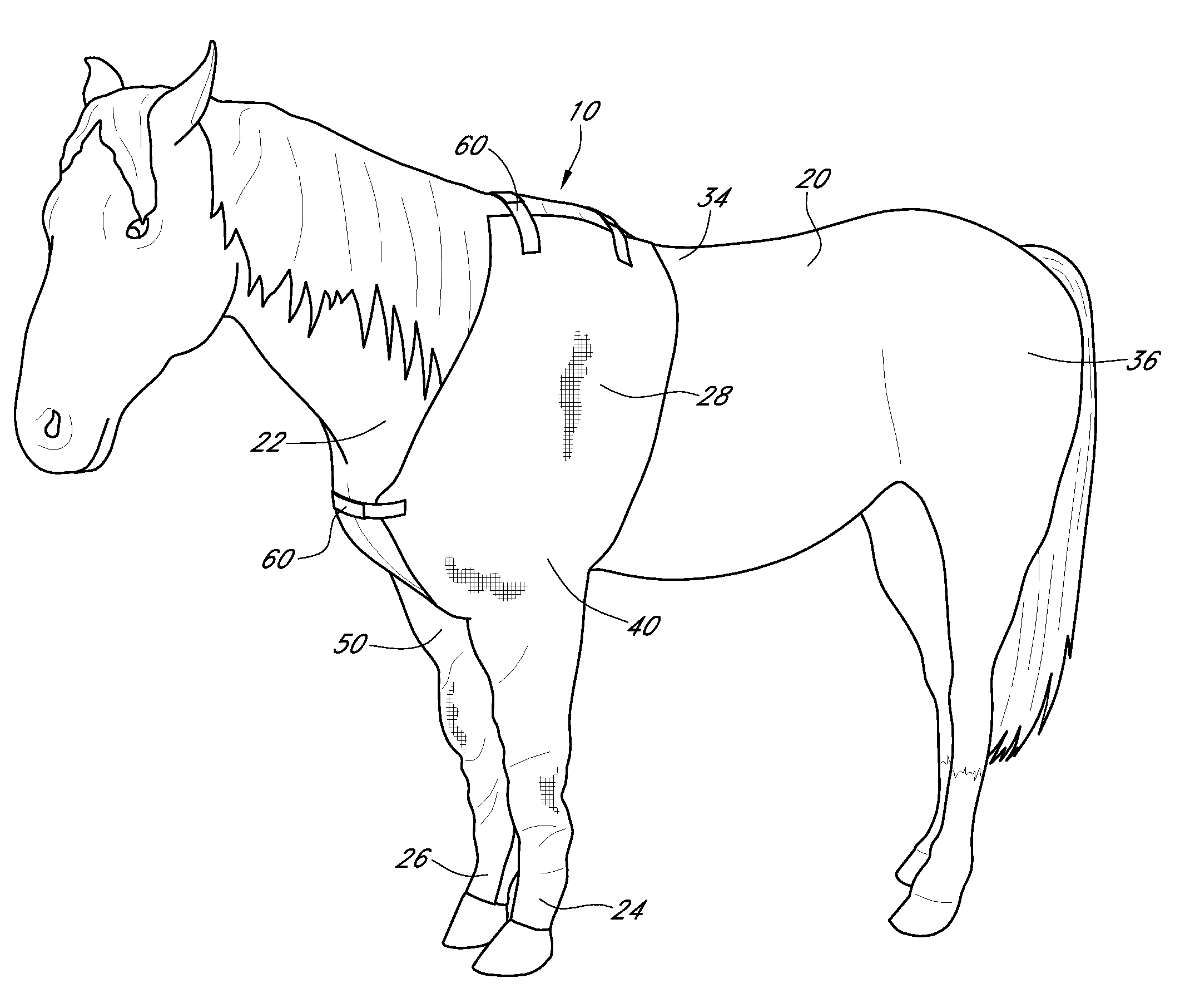 Protective garment for livestock