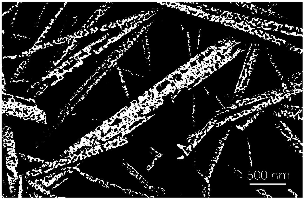 Titanium nitride-polypyrrole nano composite material and preparation and application thereof