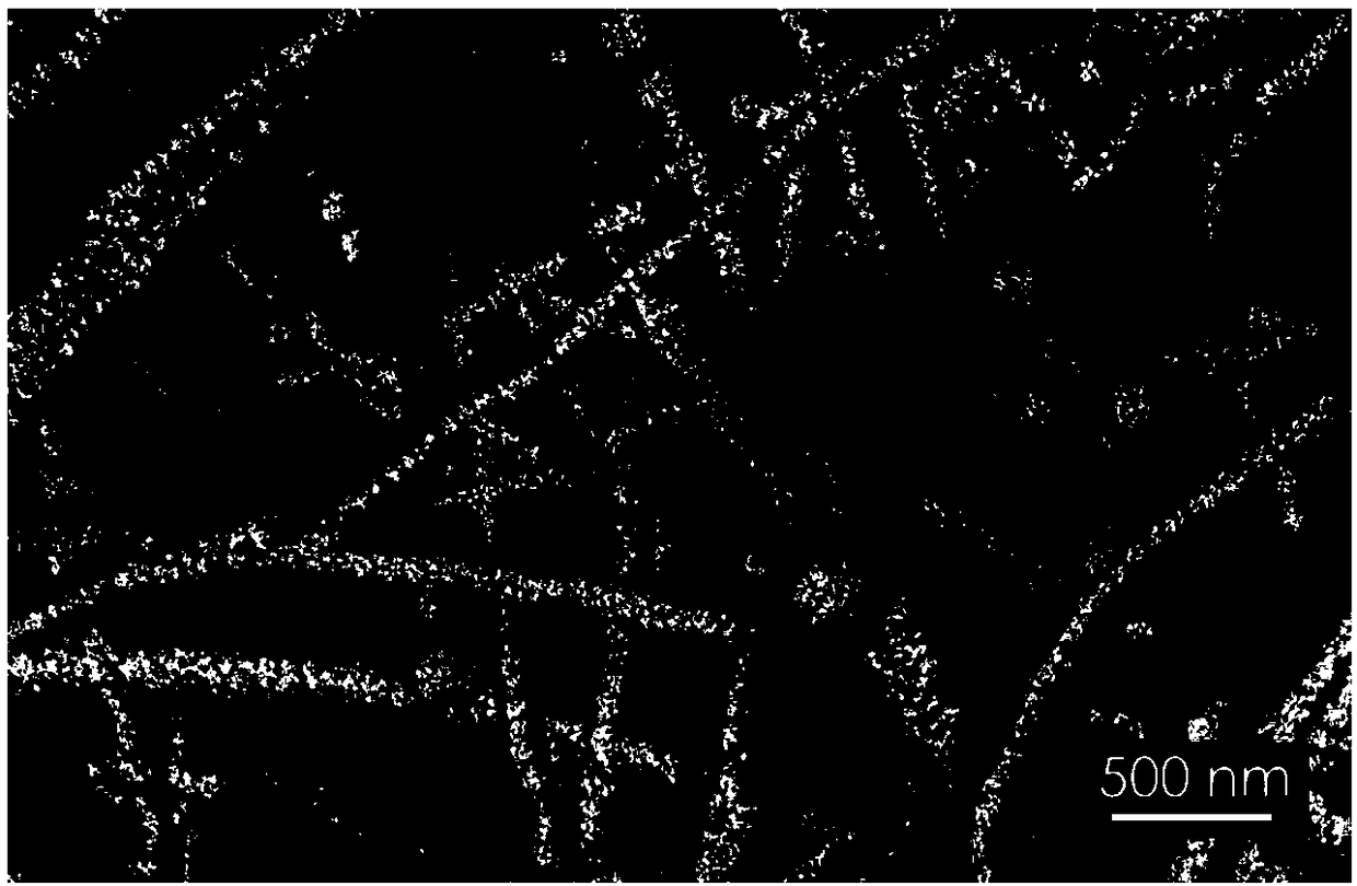 Titanium nitride-polypyrrole nano composite material and preparation and application thereof