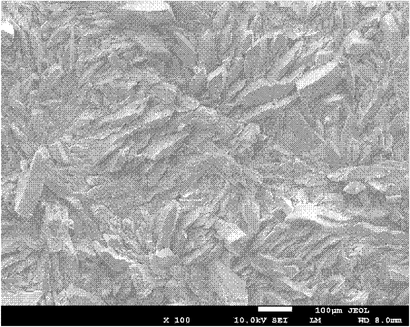 Method for preparing bioactive calcium phosphate coating on magnesium alloy surface for endosseous implant