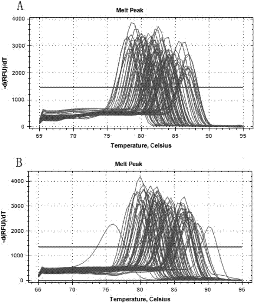 Primer group for detecting gene expression of tumor metabolic pathway, PCR (Polymerase Chain Reaction) chip and application thereof