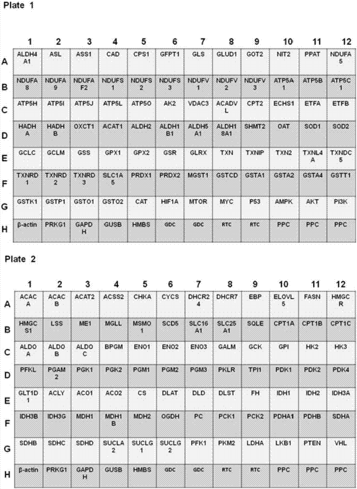 Primer group for detecting gene expression of tumor metabolic pathway, PCR (Polymerase Chain Reaction) chip and application thereof