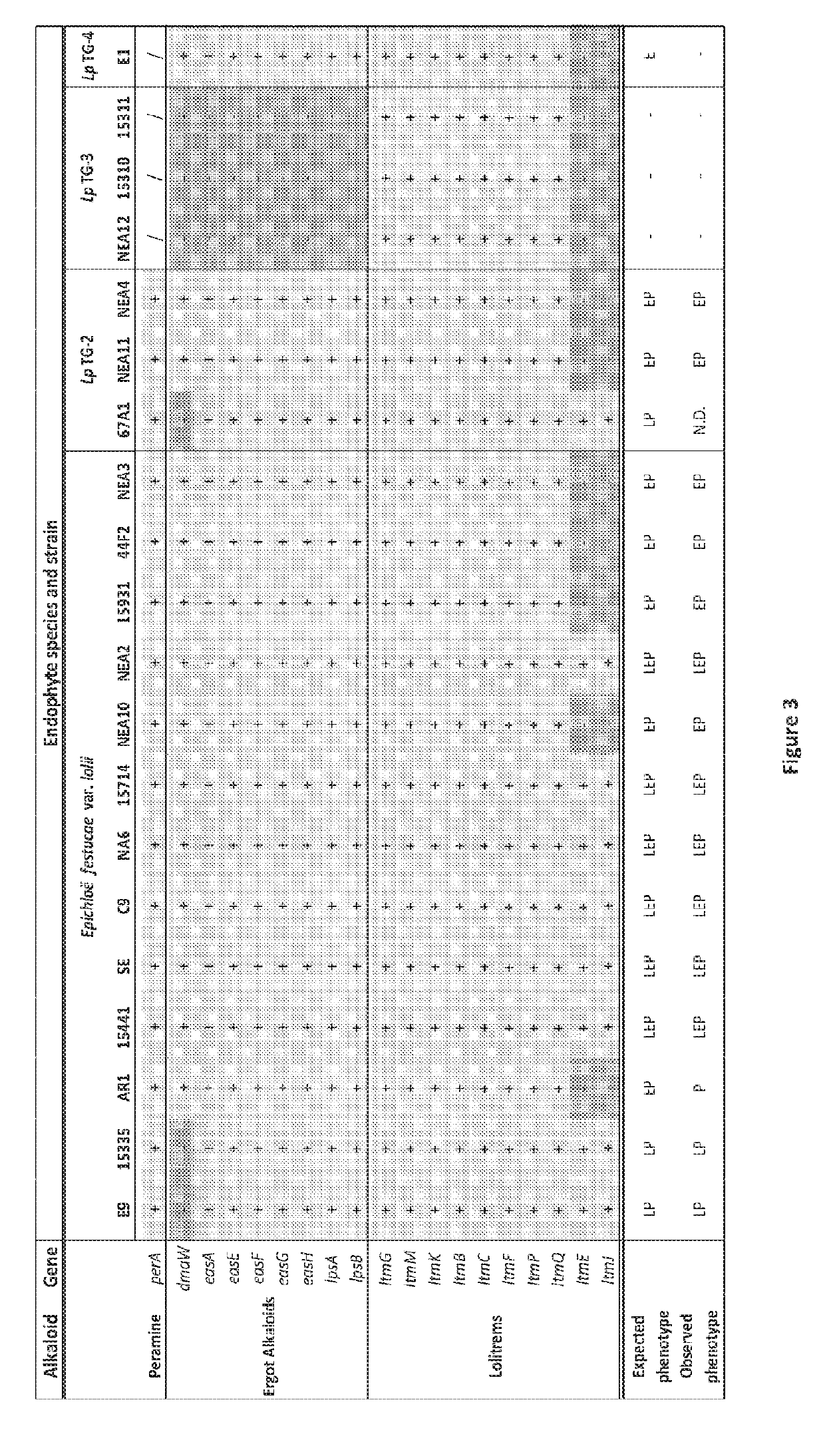 Metabolite Production in Endophytes