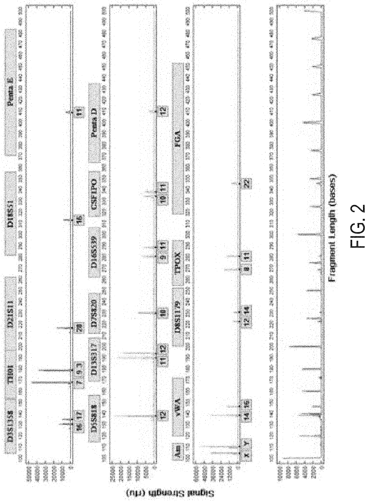 Systems and methods for rapid nucleic acid extraction, purification and analysis from bone and tooth