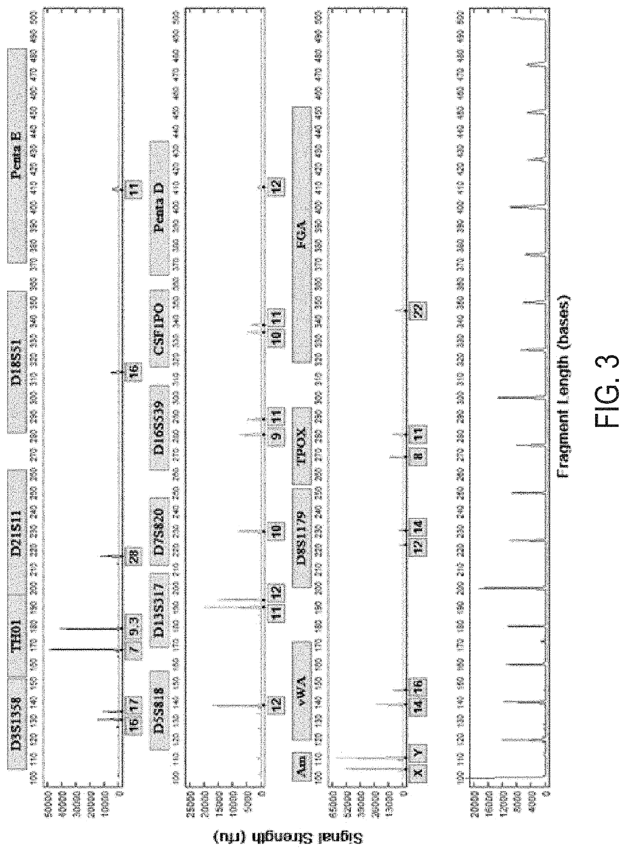 Systems and methods for rapid nucleic acid extraction, purification and analysis from bone and tooth