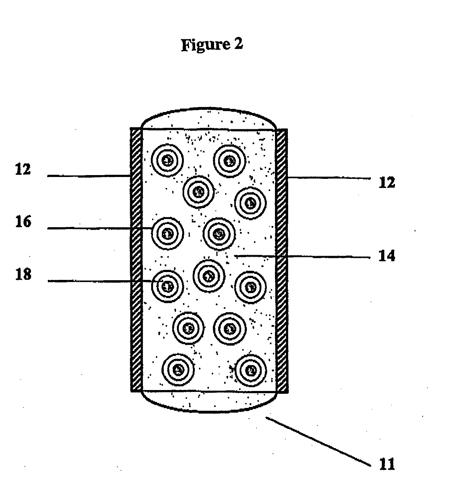 Bioadhesive Polymers