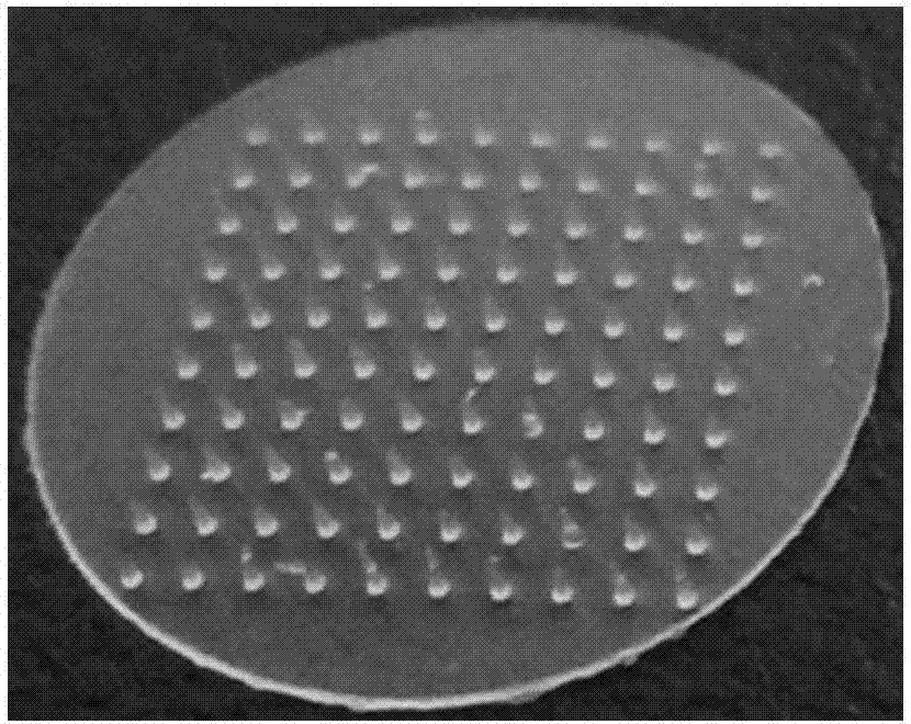 Meningococcal polysaccharide conjugate vaccine soluble microneedle patch and preparation method thereof