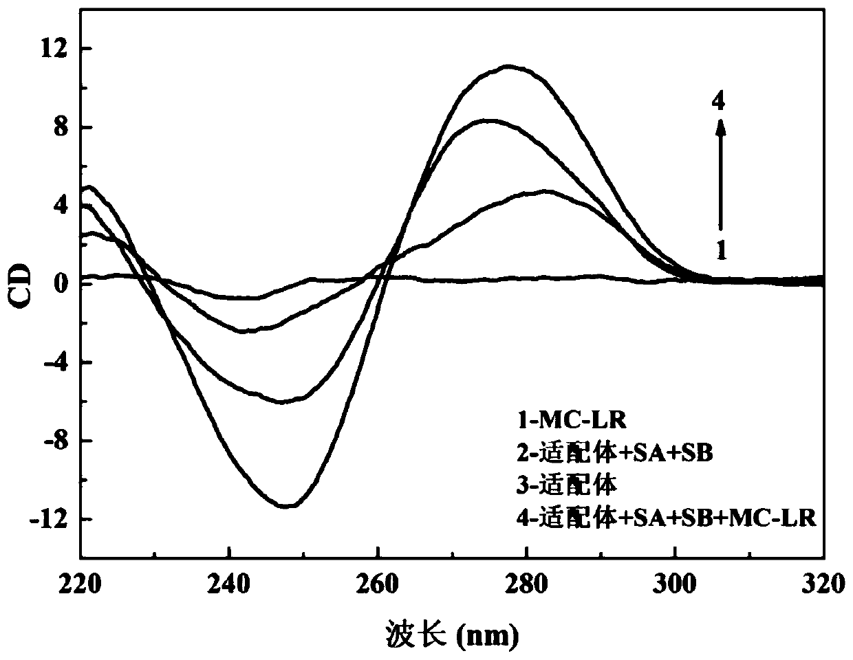 DNA hydrogel based on biological mimic enzyme signal amplification and application thereof