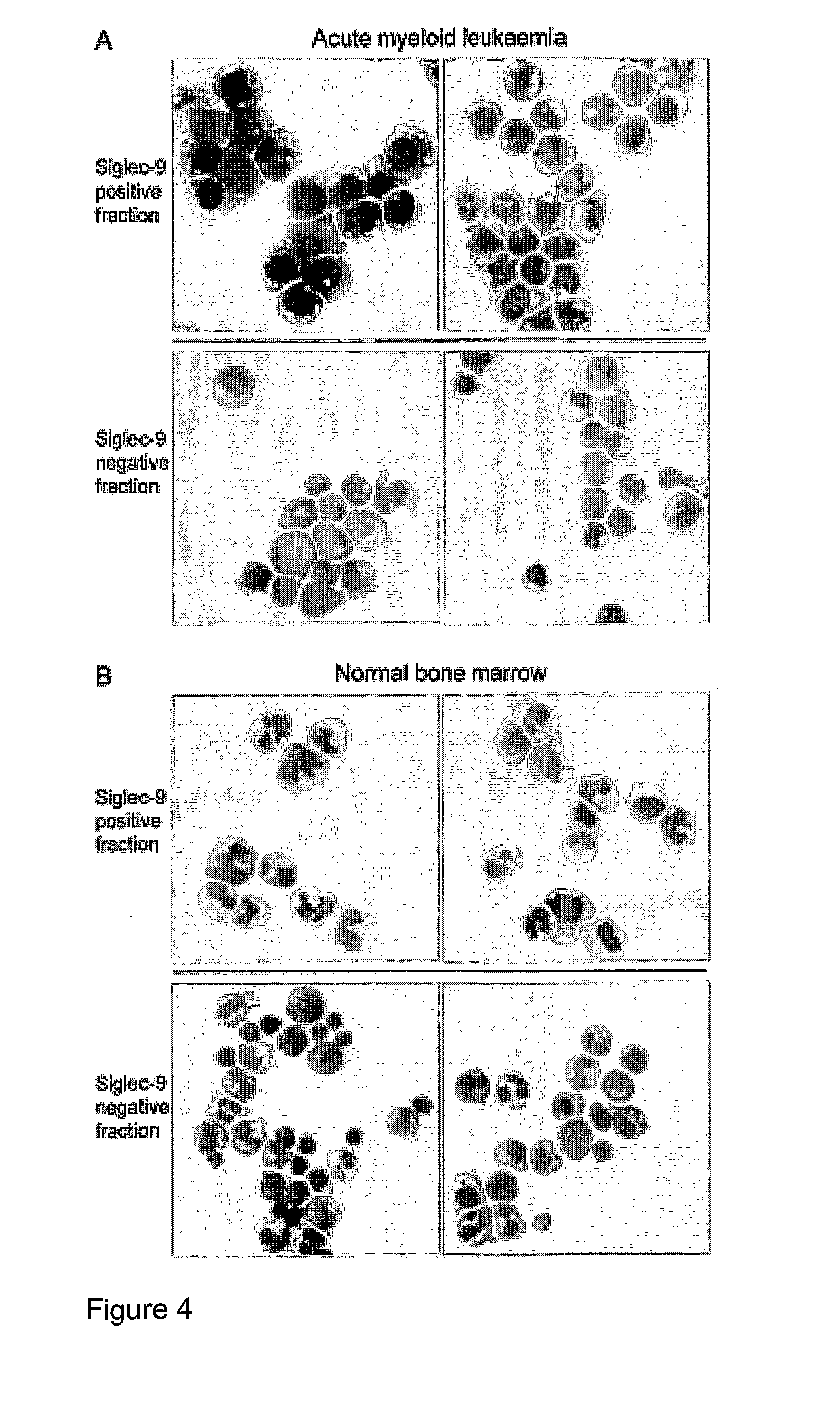 Singlec-9 binding agents