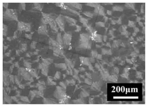 Method for preparing spherical crystal film rubrene through induction of rigid structure polymer