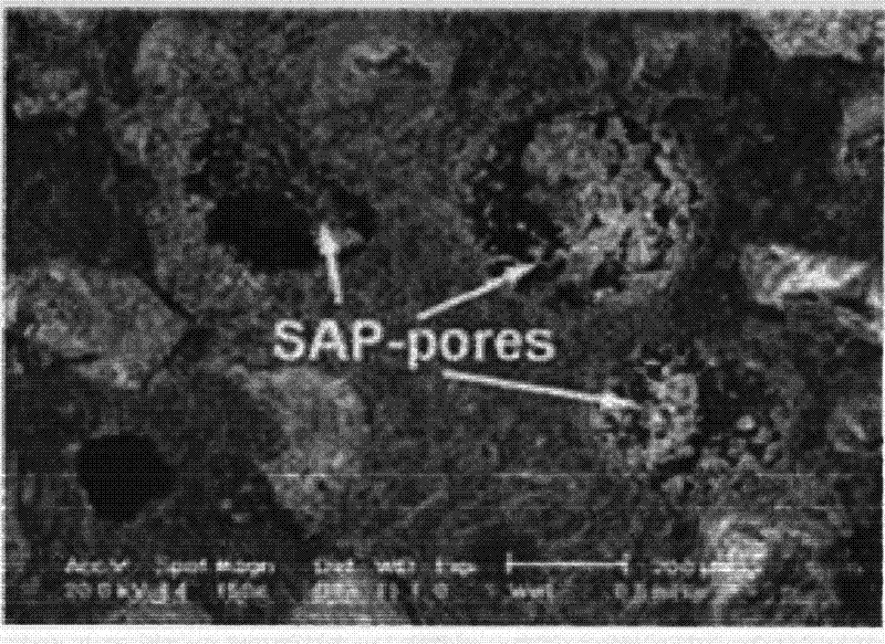 Preparation method for water-preserving and salt-tolerant alkaline concrete internal curing agent