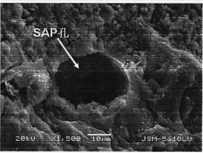 Preparation method for water-preserving and salt-tolerant alkaline concrete internal curing agent