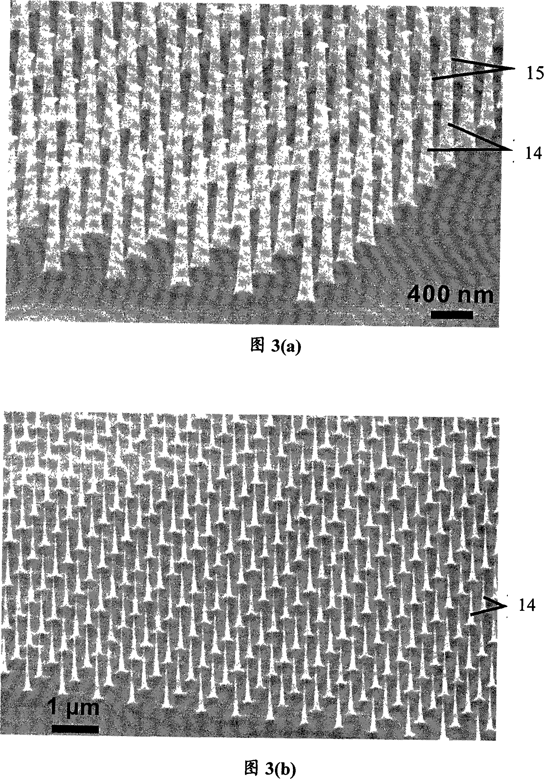 Method for preparation of one-dimensional silicon nanostructure