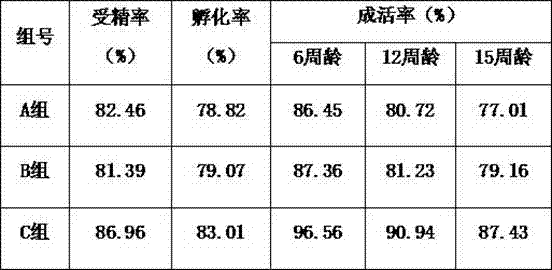 Cultivation method of gray plumage black-bone chickens