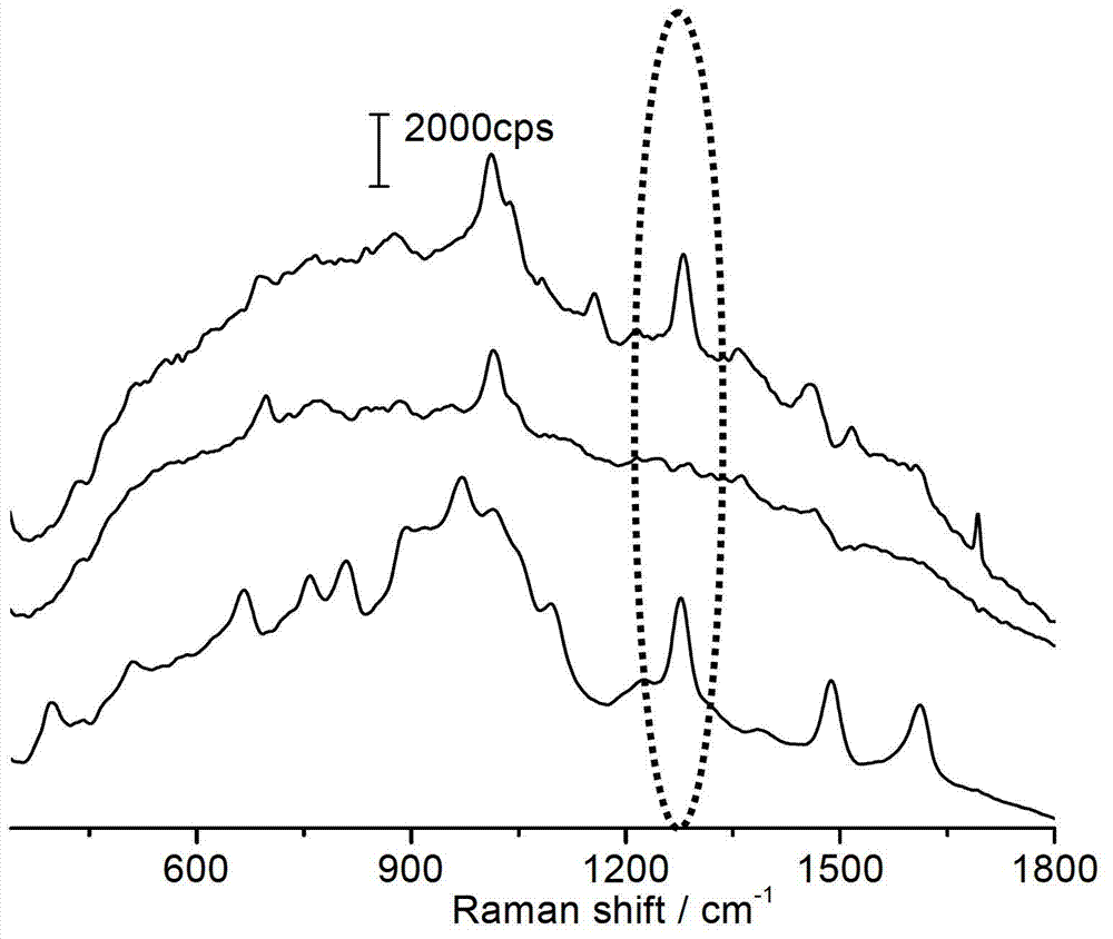 Method for detecting clenbuterol in pig hair