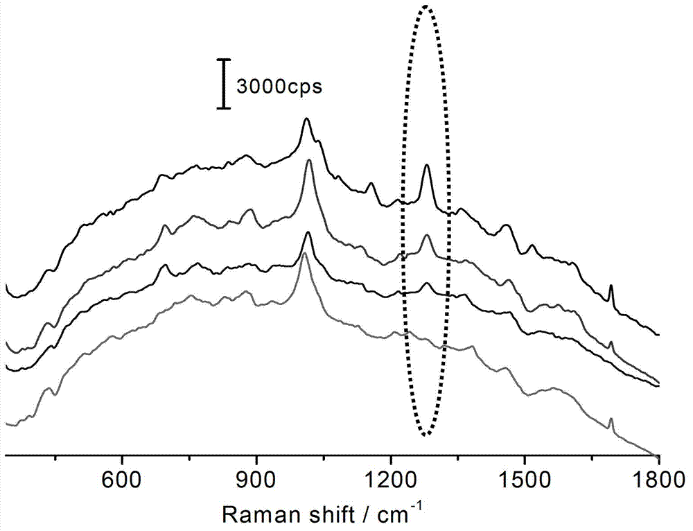 Method for detecting clenbuterol in pig hair